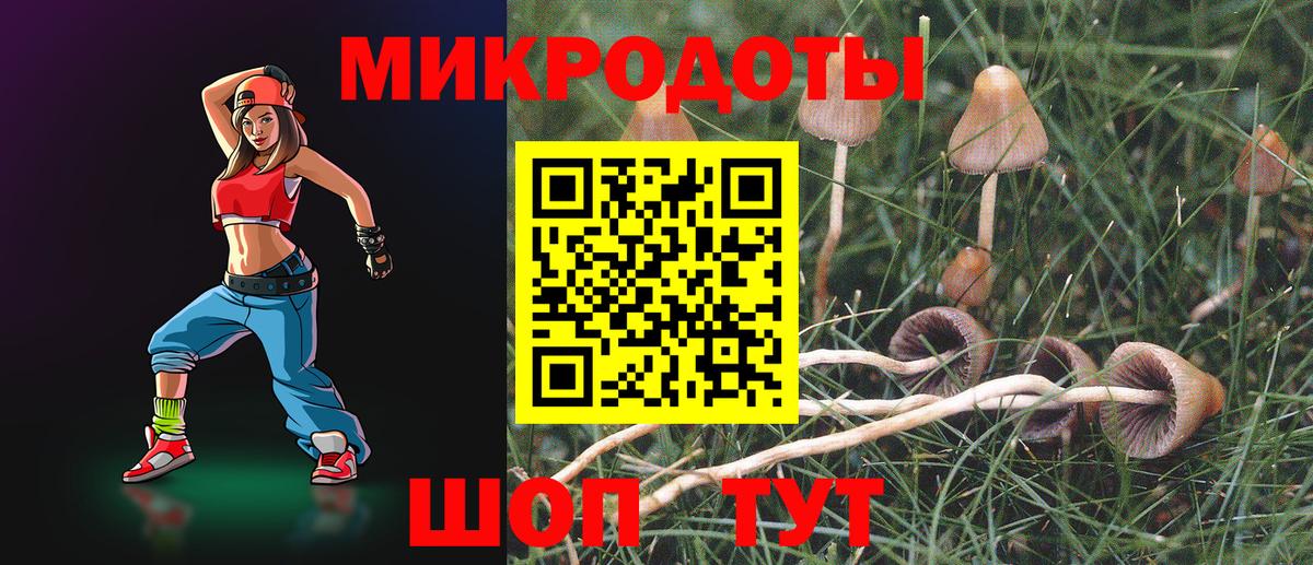Псилоцибиновые грибы Psilocybe  Вход с VPN  Большой Камень 