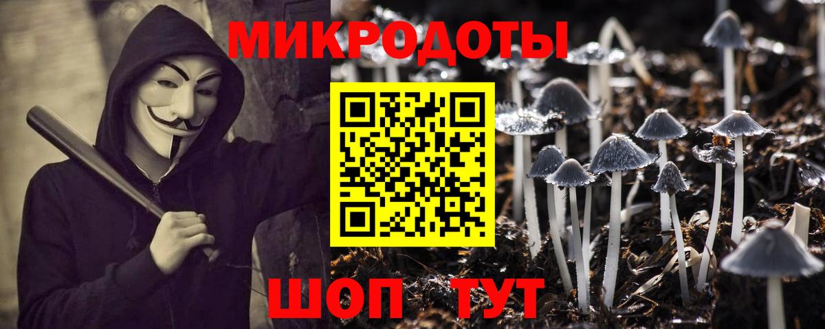 Галлюциногенные грибы мухоморы Большой Камень